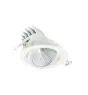 Philips LED-Spot LuxSpace Accent Performance RS781B 40W 4550lm 36D - 930  | 170mm - Höchste Farbwiedergabe